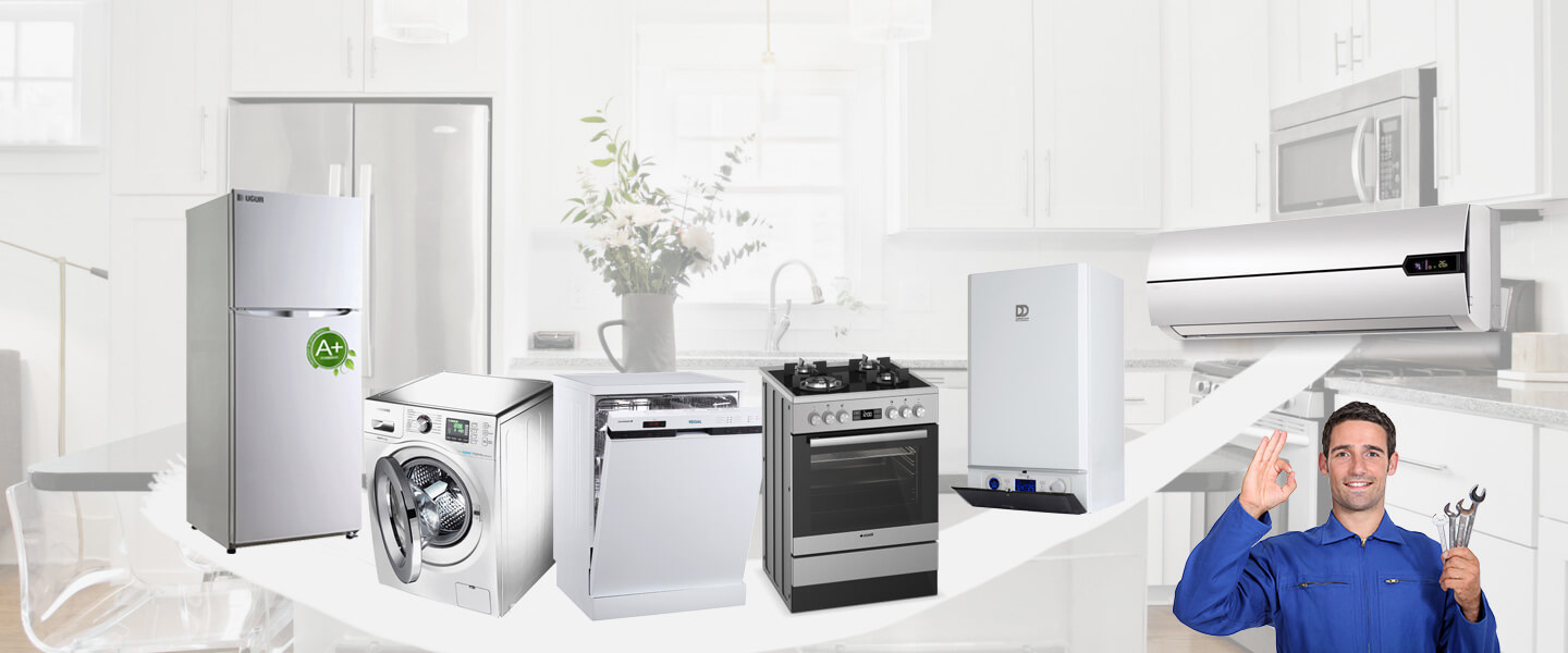 Develi Electrolux Servisi